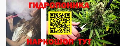 гидропоника Можайск