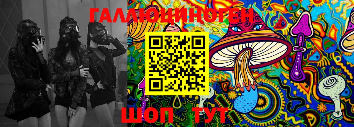Галлюциногенные грибы MAGIC MUSHROOMS  Вход с VPN  магазин продажи   Шали  Псилоцибиновые грибы прущие грибы 
